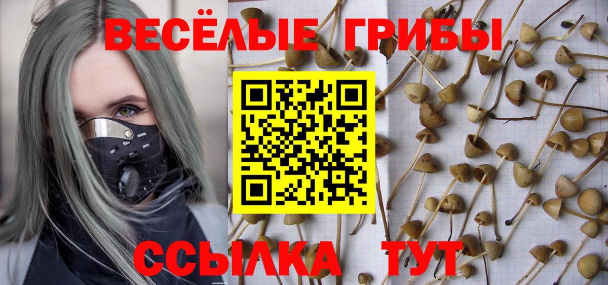 Шарыпово  Псилоцибиновые грибы MAGIC MUSHROOMS  как найти закладки  Вход с VPN 